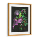 Calliandra Surinamensis Ii - Melissa Wang | Cuadro decorativo de Canvas Lab