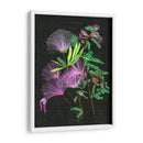 Calliandra Surinamensis Ii - Melissa Wang | Cuadro decorativo de Canvas Lab