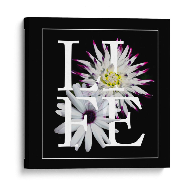 Gráfico Floral Ii - Melissa Wang | Cuadro decorativo de Canvas Lab