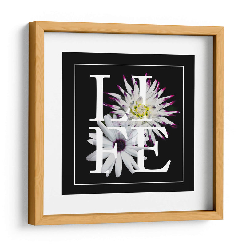 Gráfico Floral Ii - Melissa Wang | Cuadro decorativo de Canvas Lab