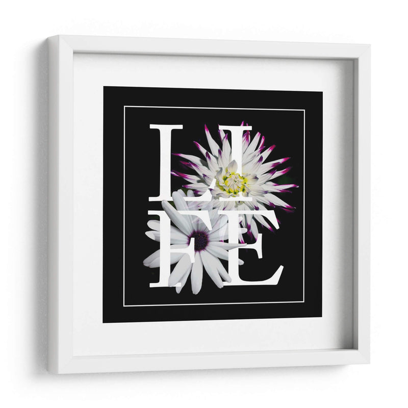 Gráfico Floral Ii - Melissa Wang | Cuadro decorativo de Canvas Lab