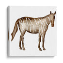 Punny Animal Ii - Melissa Wang | Cuadro decorativo de Canvas Lab