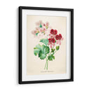 Geranios vintage | Cuadro decorativo de Canvas Lab