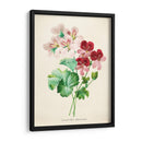 Geranios vintage | Cuadro decorativo de Canvas Lab