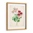 Geranios vintage | Cuadro decorativo de Canvas Lab