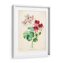 Geranios vintage | Cuadro decorativo de Canvas Lab