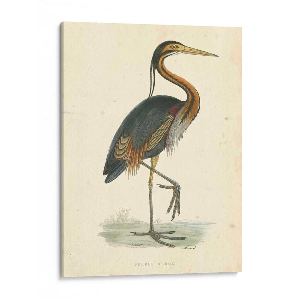 Heron Purple Vintage - Morris | Cuadro decorativo de Canvas Lab