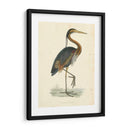 Heron Purple Vintage - Morris | Cuadro decorativo de Canvas Lab