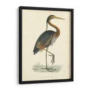 Heron Purple Vintage - Morris | Cuadro decorativo de Canvas Lab