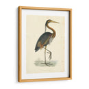 Heron Purple Vintage - Morris | Cuadro decorativo de Canvas Lab