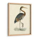 Heron Purple Vintage - Morris | Cuadro decorativo de Canvas Lab