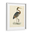 Heron Purple Vintage - Morris | Cuadro decorativo de Canvas Lab