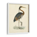 Heron Purple Vintage - Morris | Cuadro decorativo de Canvas Lab