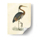 Heron Purple Vintage - Morris | Cuadro decorativo de Canvas Lab