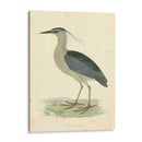 Garza De La Noche De La Vendimia - Morris | Cuadro decorativo de Canvas Lab