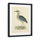Garza De La Noche De La Vendimia - Morris | Cuadro decorativo de Canvas Lab