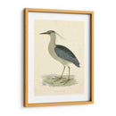 Garza De La Noche De La Vendimia - Morris | Cuadro decorativo de Canvas Lab