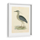Garza De La Noche De La Vendimia - Morris | Cuadro decorativo de Canvas Lab