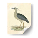 Garza De La Noche De La Vendimia - Morris | Cuadro decorativo de Canvas Lab