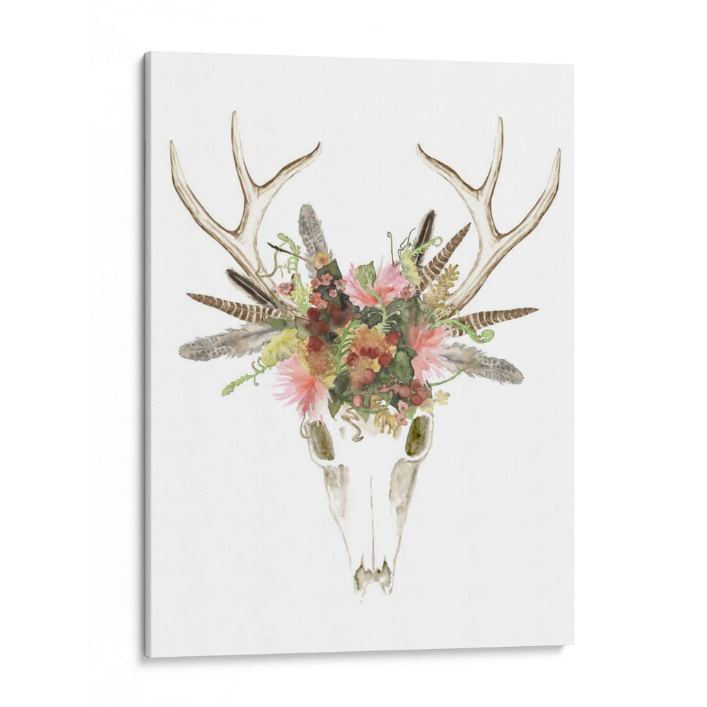 Cráneo De Ciervos Y Flores I - Naomi McCavitt | Cuadro decorativo de Canvas Lab
