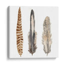 Plumas De Acuarela I - Naomi McCavitt | Cuadro decorativo de Canvas Lab