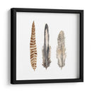 Plumas De Acuarela I - Naomi McCavitt | Cuadro decorativo de Canvas Lab