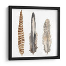 Plumas De Acuarela I - Naomi McCavitt | Cuadro decorativo de Canvas Lab