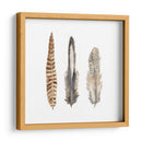 Plumas De Acuarela I - Naomi McCavitt | Cuadro decorativo de Canvas Lab