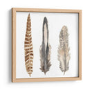 Plumas De Acuarela I - Naomi McCavitt | Cuadro decorativo de Canvas Lab