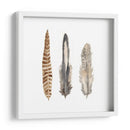 Plumas De Acuarela I - Naomi McCavitt | Cuadro decorativo de Canvas Lab
