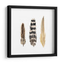 Plumas De Acuarela Ii - Naomi McCavitt | Cuadro decorativo de Canvas Lab