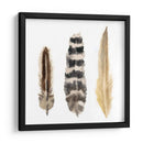 Plumas De Acuarela Ii - Naomi McCavitt | Cuadro decorativo de Canvas Lab