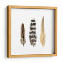 Plumas De Acuarela Ii - Naomi McCavitt | Cuadro decorativo de Canvas Lab
