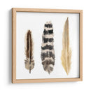 Plumas De Acuarela Ii - Naomi McCavitt | Cuadro decorativo de Canvas Lab