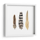 Plumas De Acuarela Ii - Naomi McCavitt | Cuadro decorativo de Canvas Lab