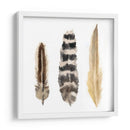 Plumas De Acuarela Ii - Naomi McCavitt | Cuadro decorativo de Canvas Lab