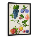 Colección De Frutas Ii - Naomi McCavitt | Cuadro decorativo de Canvas Lab
