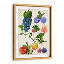 Colección De Frutas Ii - Naomi McCavitt | Cuadro decorativo de Canvas Lab