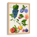 Colección De Frutas Ii - Naomi McCavitt | Cuadro decorativo de Canvas Lab