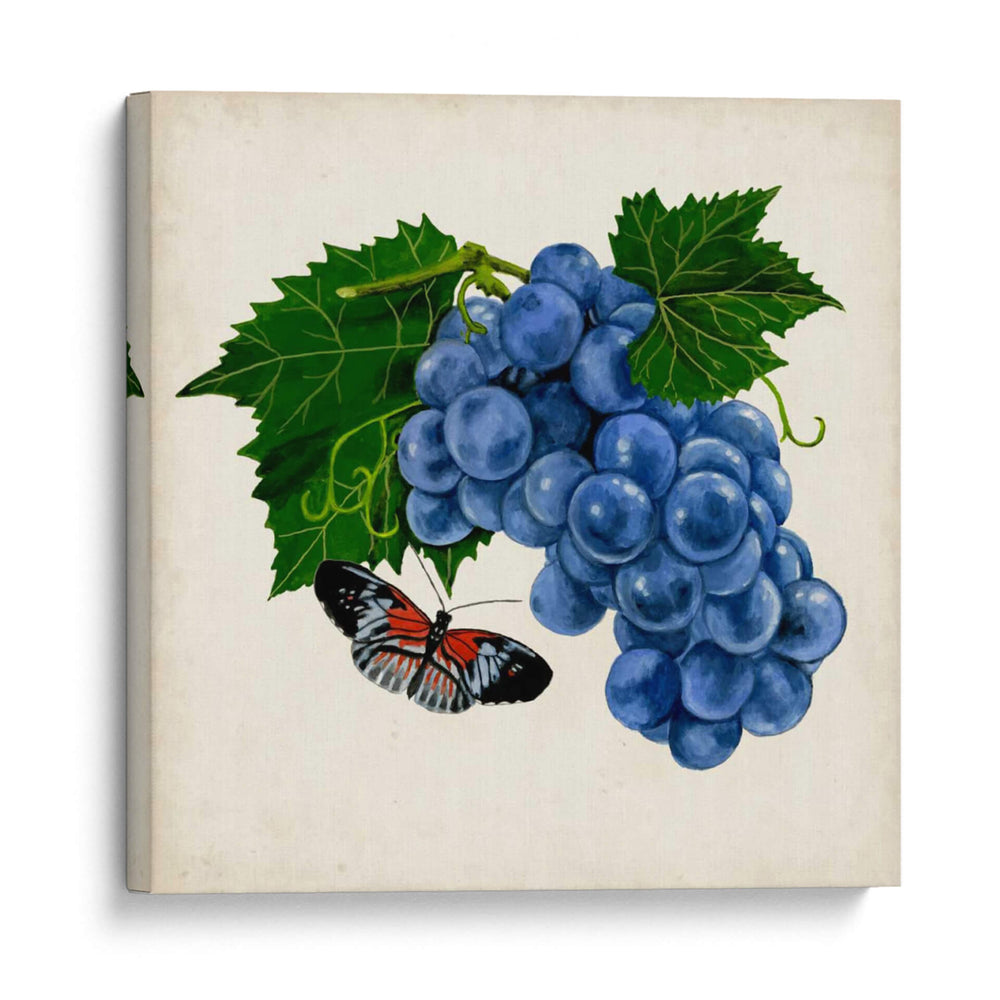 Fruta Con Mariposas Ii - Naomi McCavitt | Cuadro decorativo de Canvas Lab