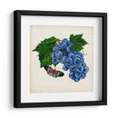 Fruta Con Mariposas Ii - Naomi McCavitt | Cuadro decorativo de Canvas Lab