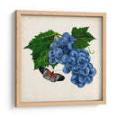 Fruta Con Mariposas Ii - Naomi McCavitt | Cuadro decorativo de Canvas Lab