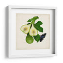 Fruta Con Mariposas Iii - Naomi McCavitt | Cuadro decorativo de Canvas Lab