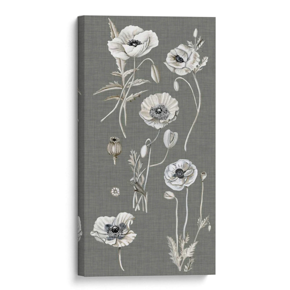 Array De Amapola I - Naomi McCavitt | Cuadro decorativo de Canvas Lab
