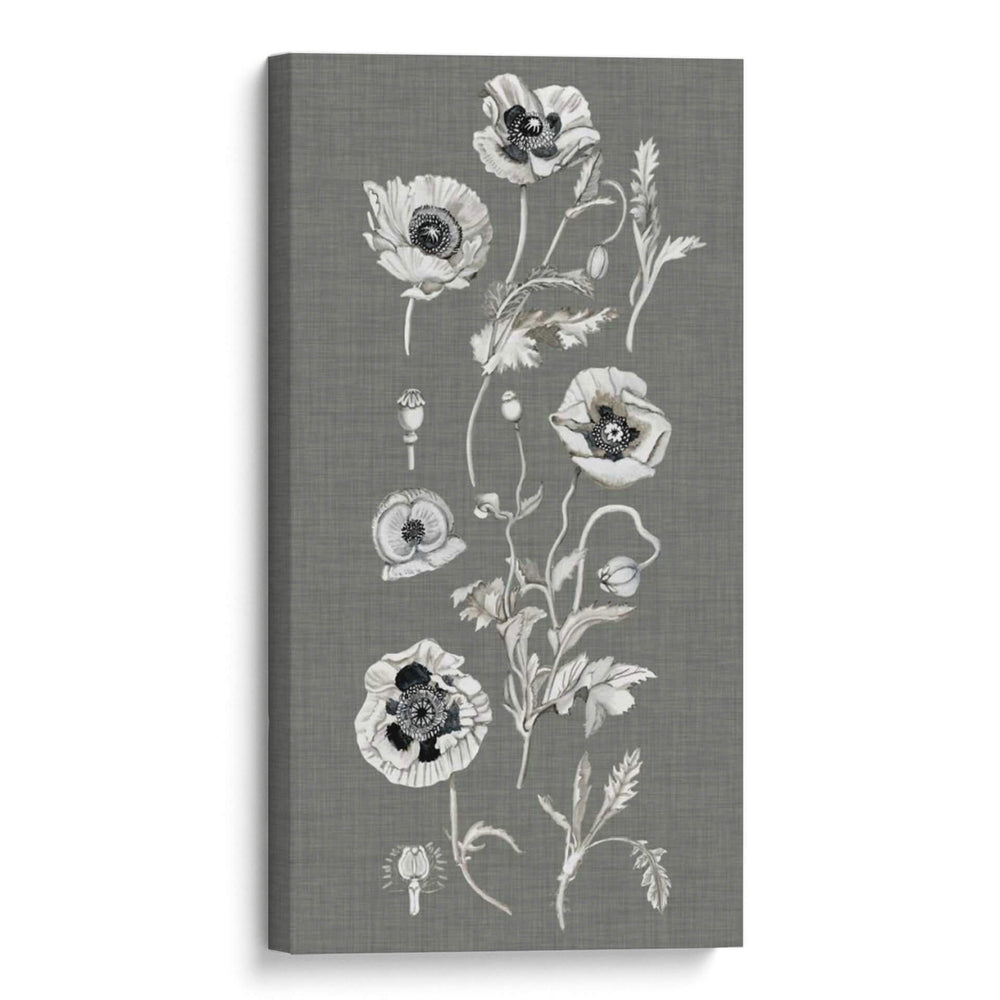 Array De Amapola Ii - Naomi McCavitt | Cuadro decorativo de Canvas Lab