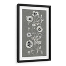 Array De Amapola Ii - Naomi McCavitt | Cuadro decorativo de Canvas Lab