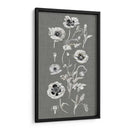 Array De Amapola Ii - Naomi McCavitt | Cuadro decorativo de Canvas Lab