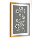 Array De Amapola Ii - Naomi McCavitt | Cuadro decorativo de Canvas Lab