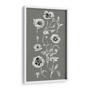 Array De Amapola Ii - Naomi McCavitt | Cuadro decorativo de Canvas Lab