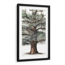 Composición De Árbol De Roble I - Naomi McCavitt | Cuadro decorativo de Canvas Lab